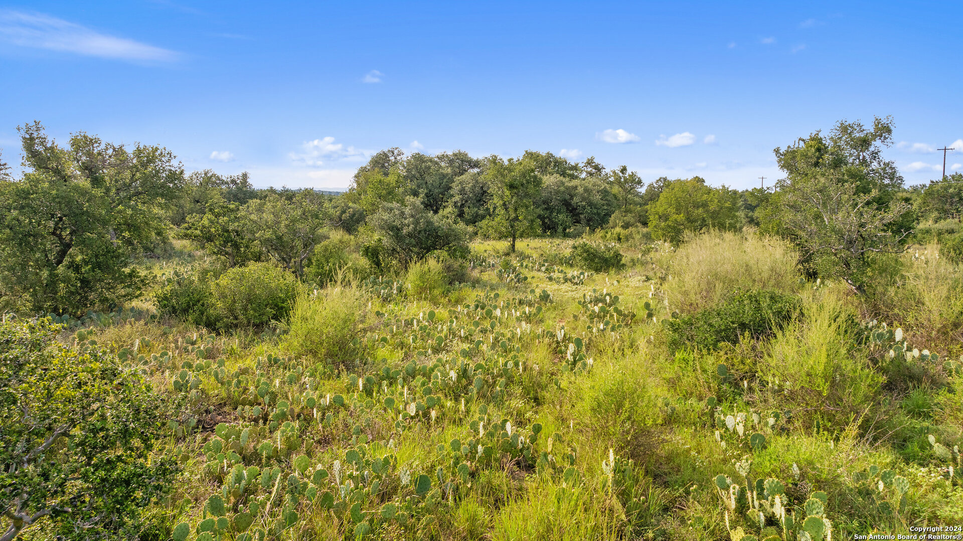 Tbd W Rr 962 Round Mountain TX 78663