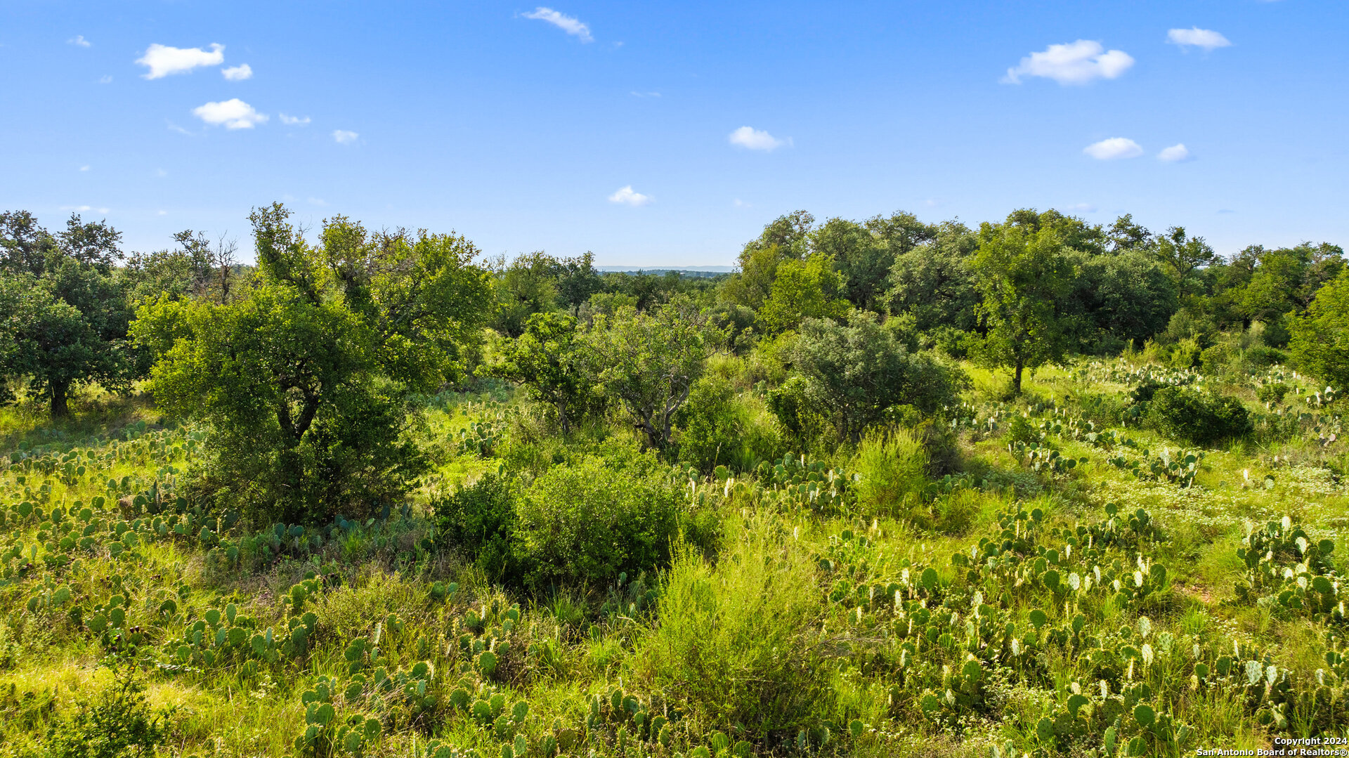 Tbd W Rr 962 Round Mountain TX 78663