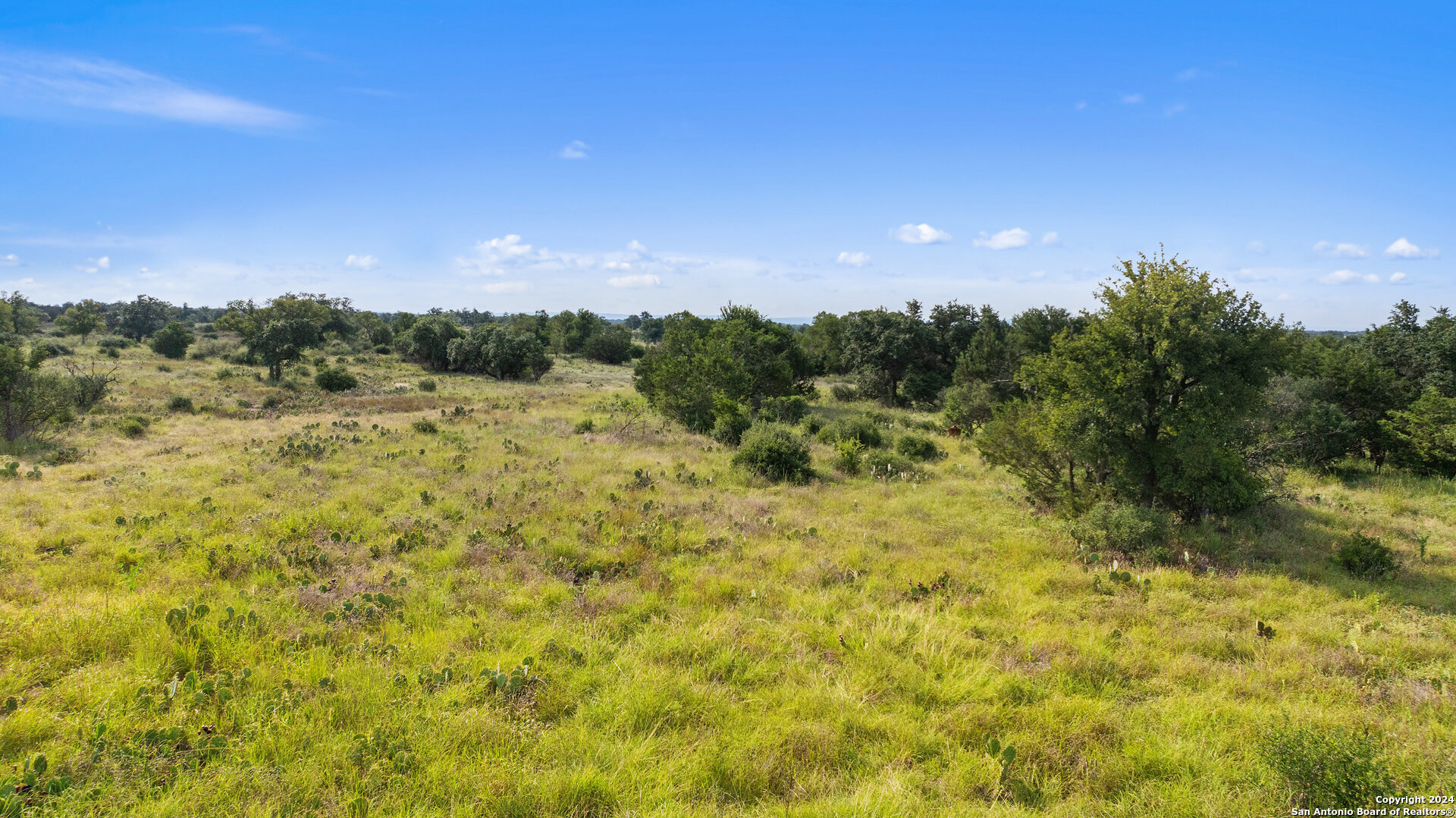 Tbd W Rr 962 Round Mountain TX 78663