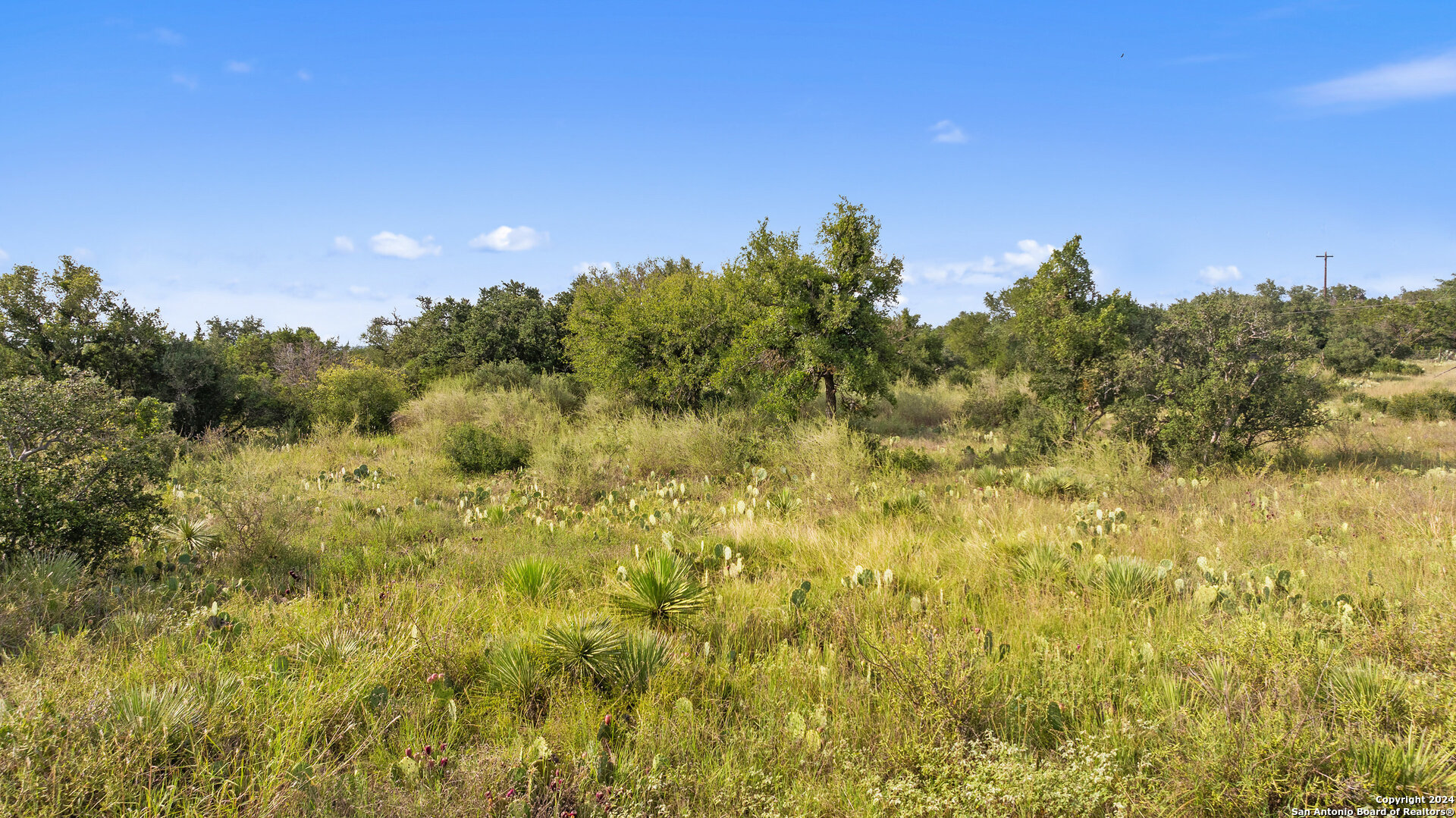 Tbd W Rr 962 Round Mountain TX 78663