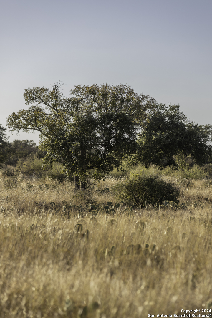 Tbd W Rr 962 Round Mountain TX 78663