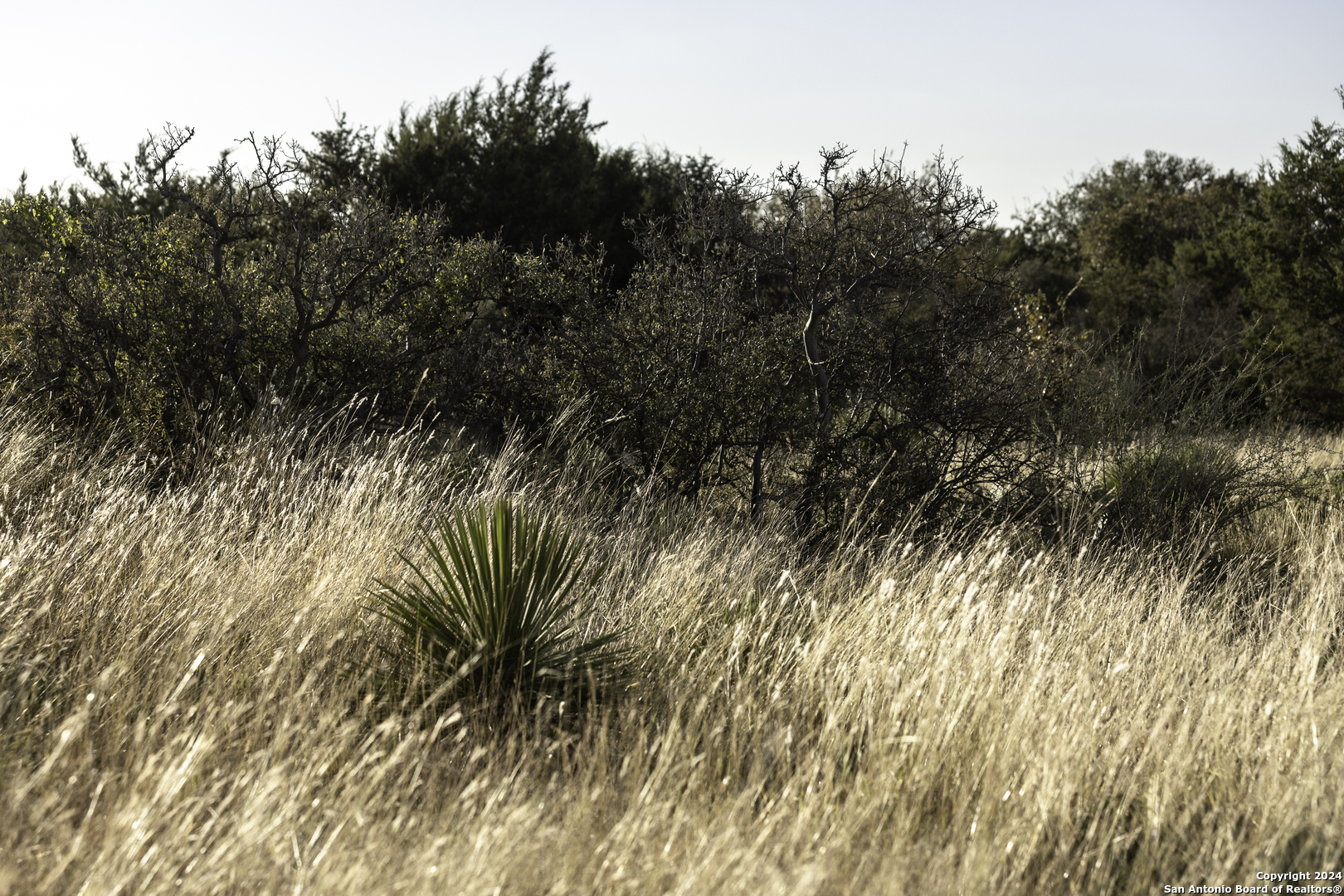 Tbd W Rr 962 Round Mountain TX 78663