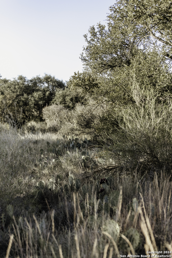 Tbd W Rr 962 Round Mountain TX 78663