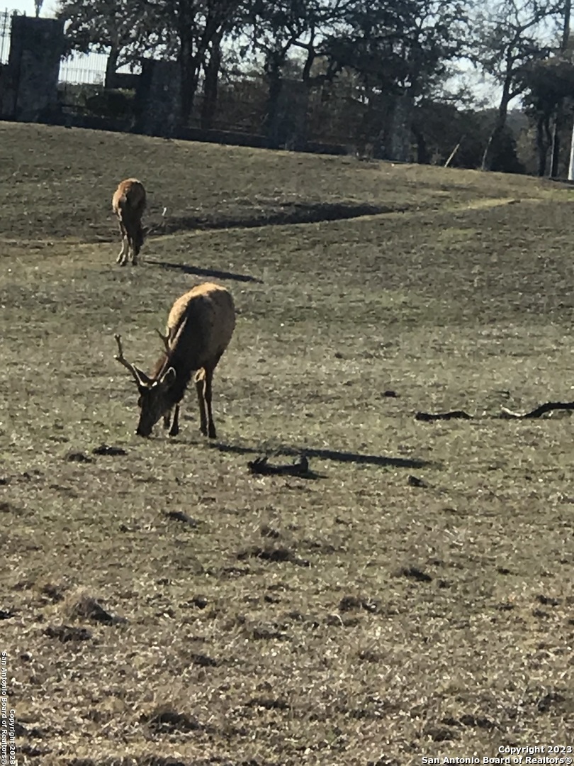 Lot 54 Elk Mountain Ranch Pipe Creek TX 78063