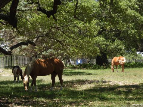 772 Hager Ridge Bandera TX 78003