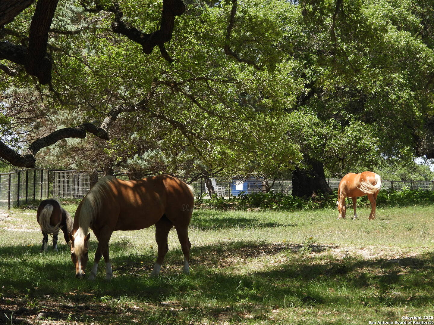 772 Hager Ridge Bandera TX 78003