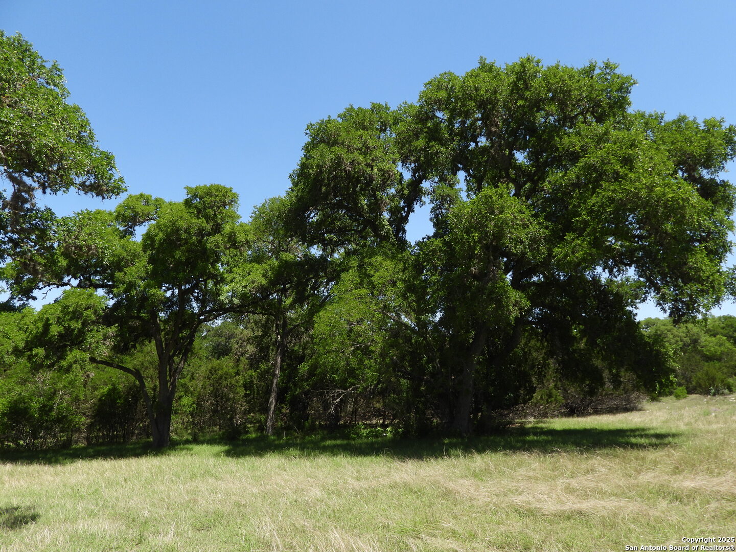 772 Hager Ridge Bandera TX 78003