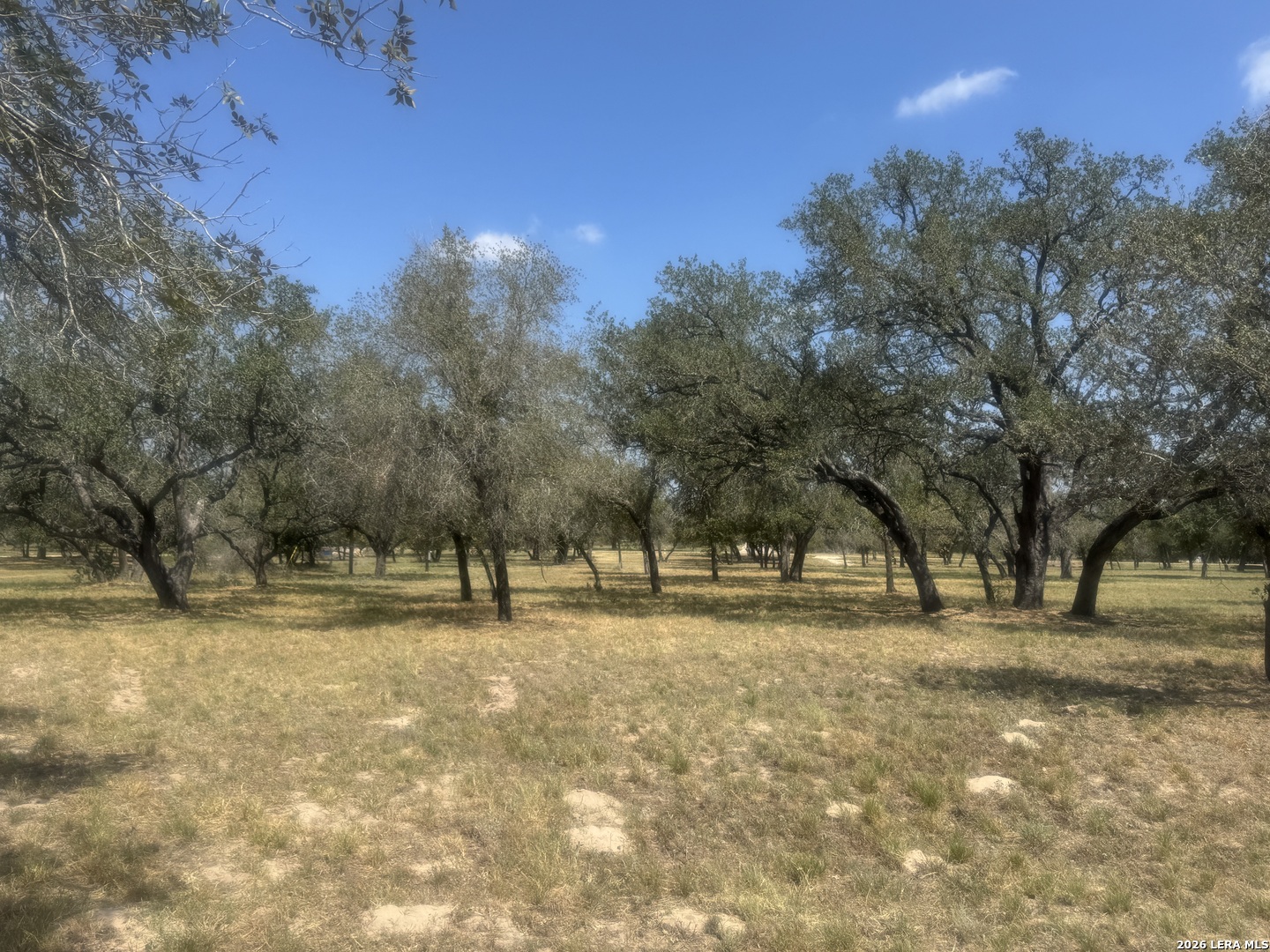 1600 County Road 770 Natalia TX 78059