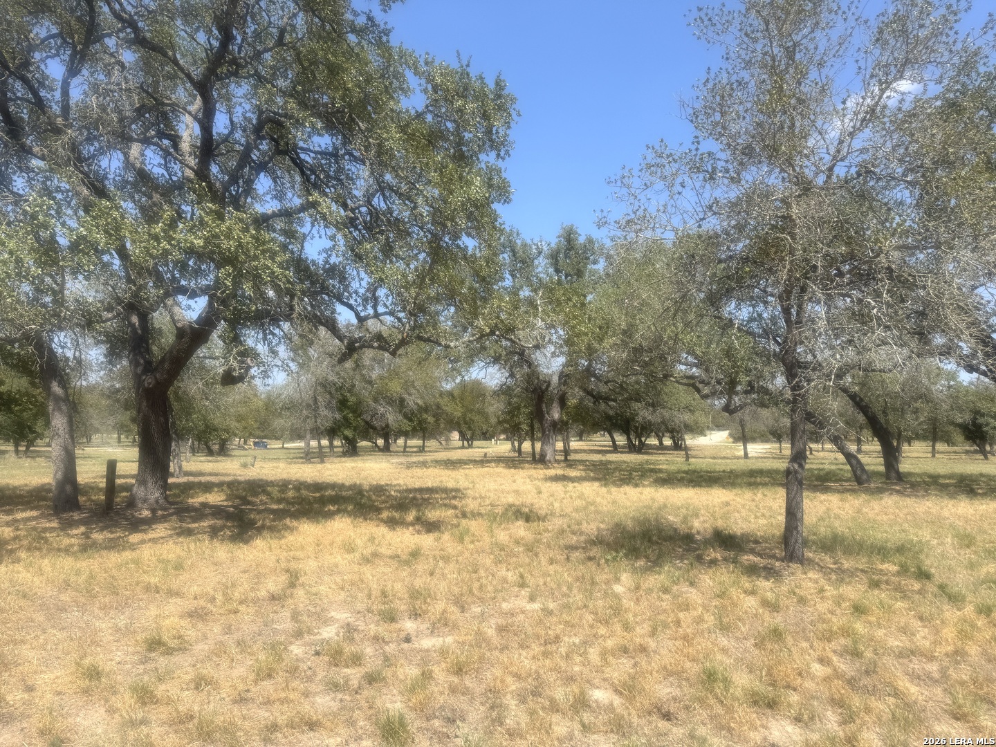 1600 County Road 770 Natalia TX 78059