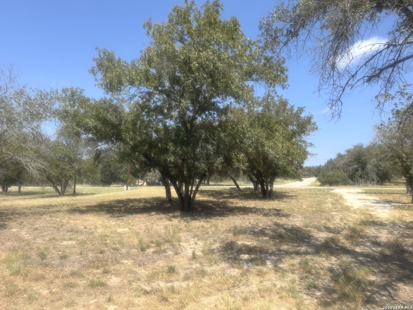 1600 County Road 770 Natalia TX 78059