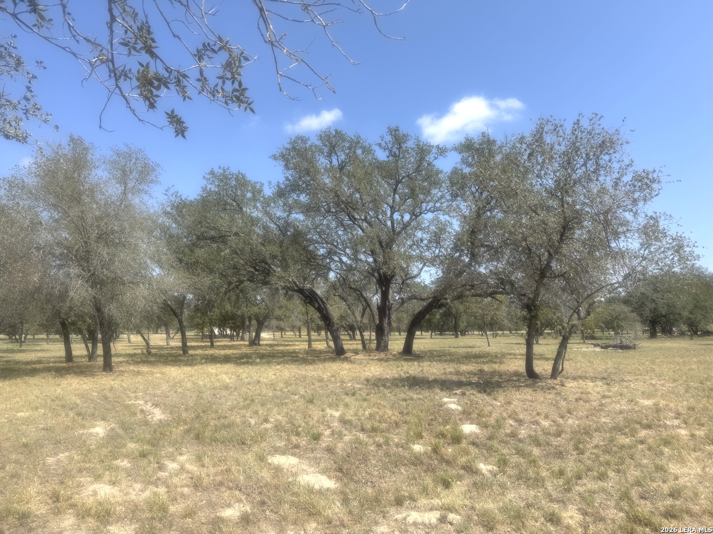 1600 County Road 770 Natalia TX 78059