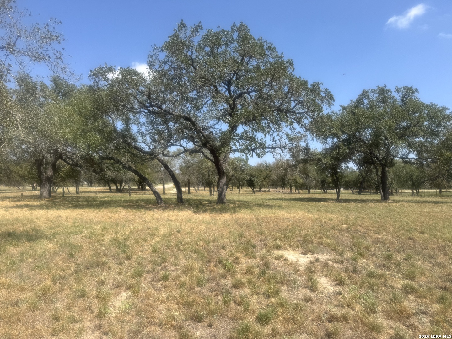 1600 County Road 770 Natalia TX 78059