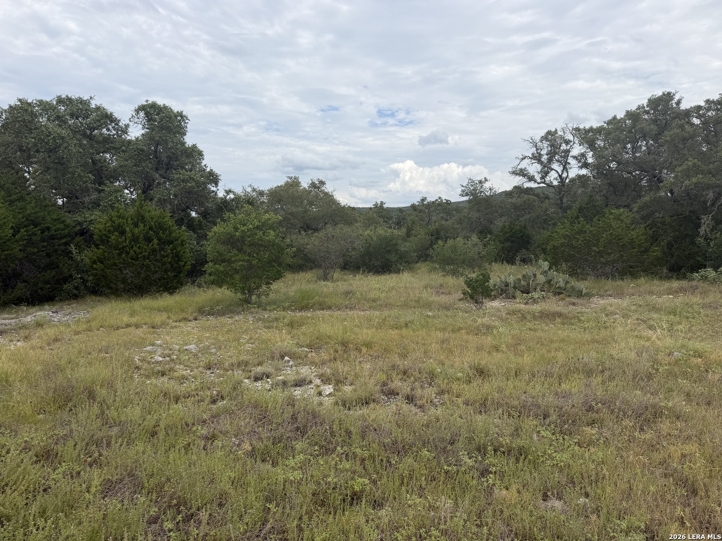 187 Private Road 1712 Mico TX 78056