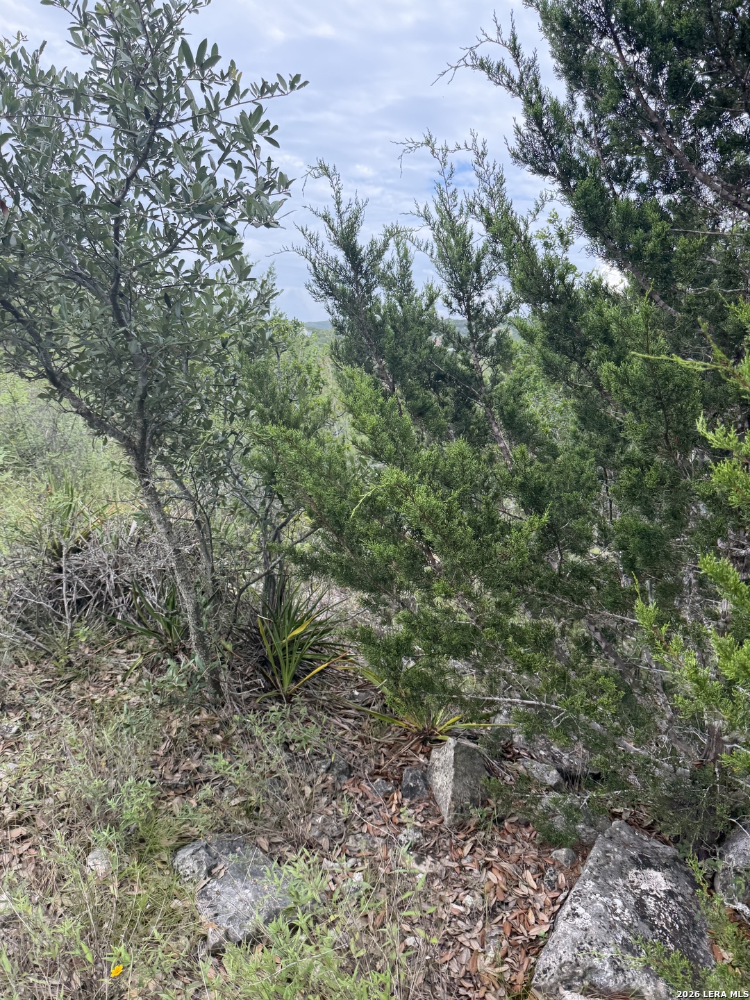 187 Private Road 1712 Mico TX 78056