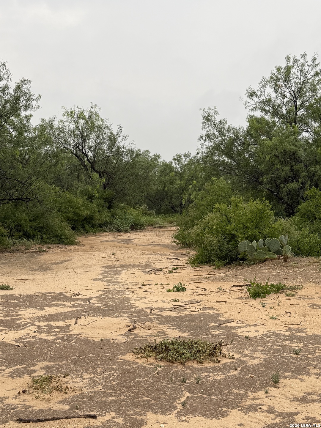 512 Community Road Carrizo Springs TX 78834