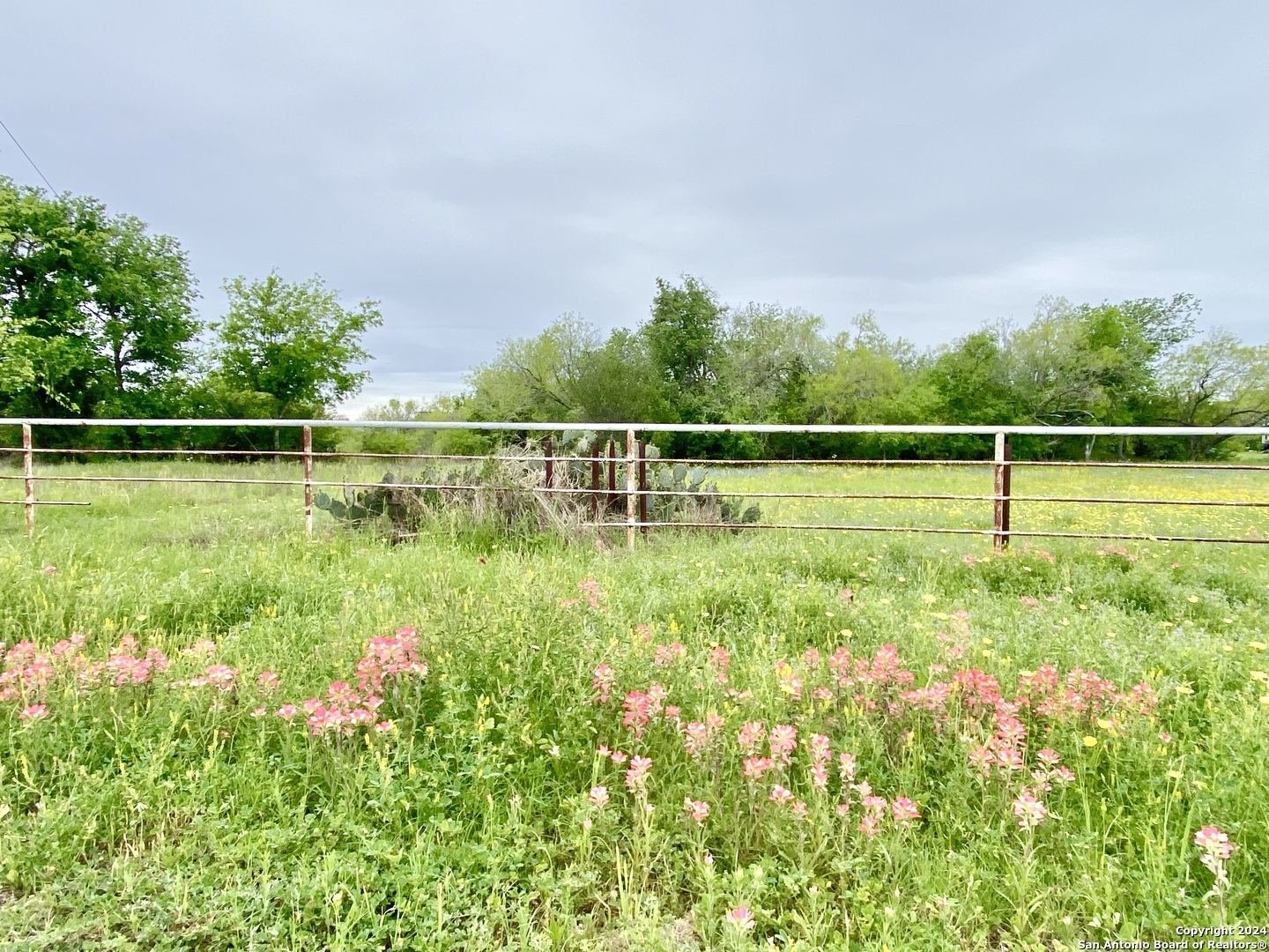 210 Shamrock Drive Floresville TX 78114