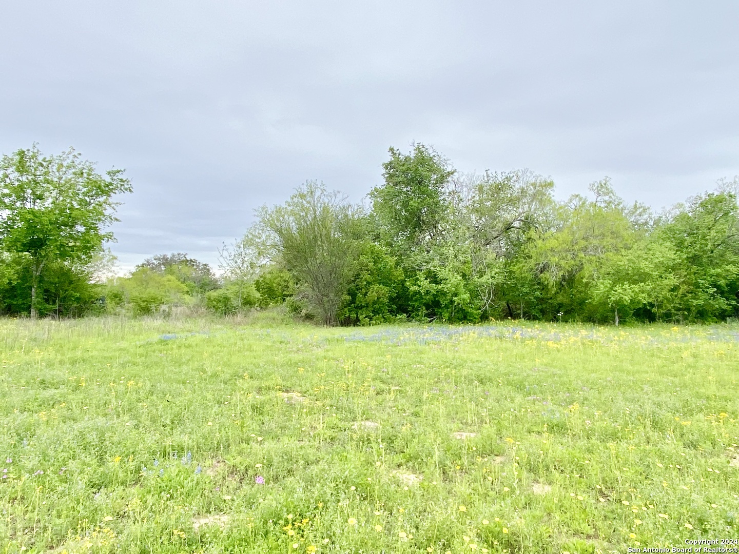 210 Shamrock Drive Floresville TX 78114