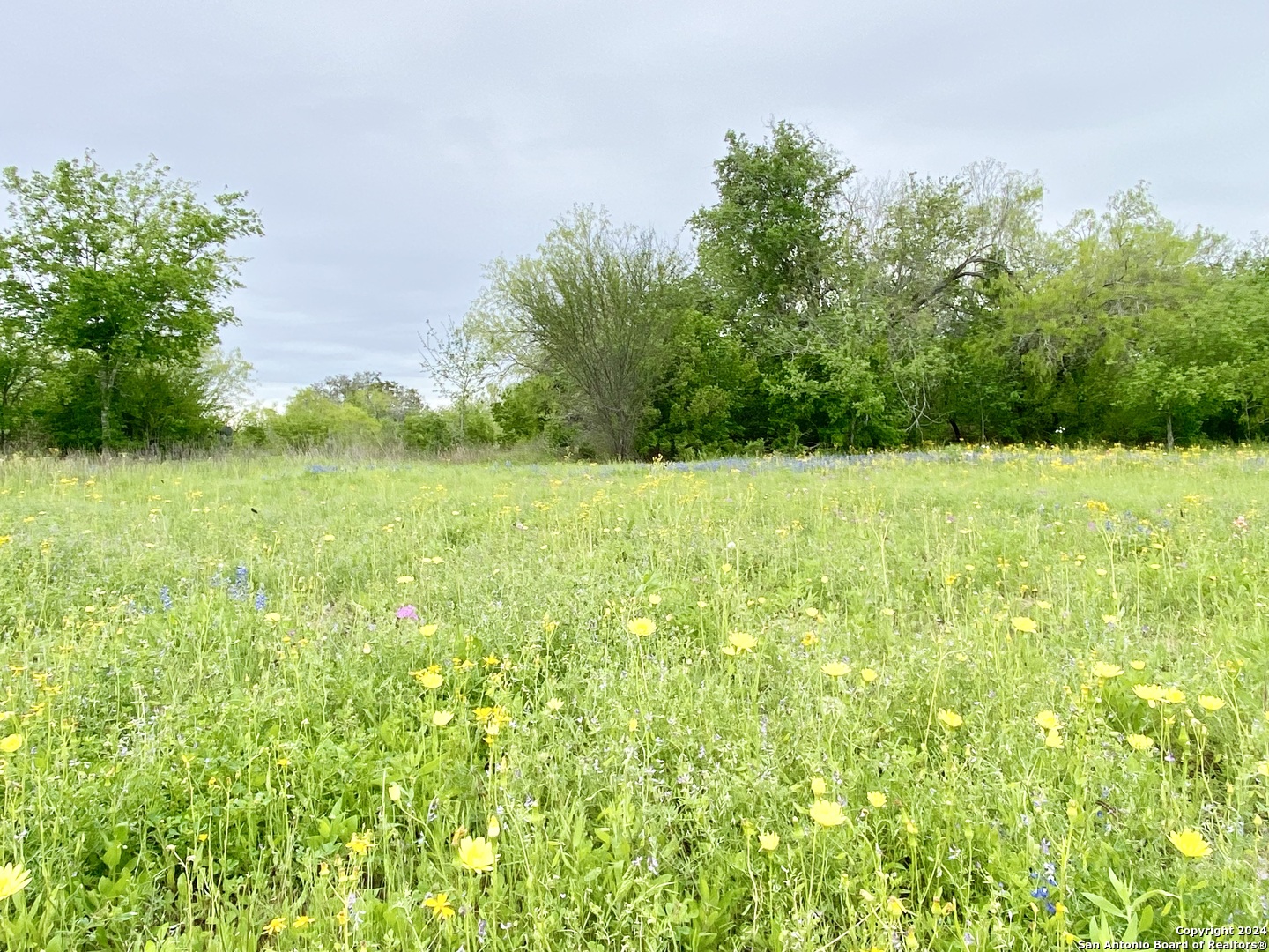 210 Shamrock Drive Floresville TX 78114