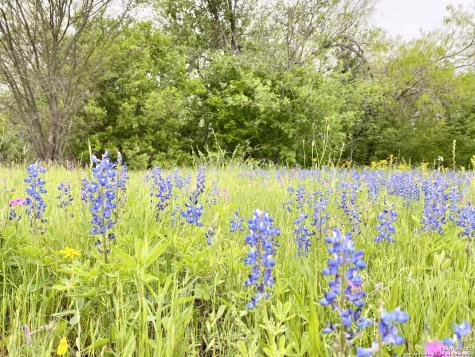 210 Shamrock Drive Floresville TX 78114