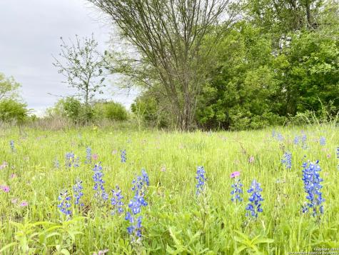 210 Shamrock Drive Floresville TX 78114