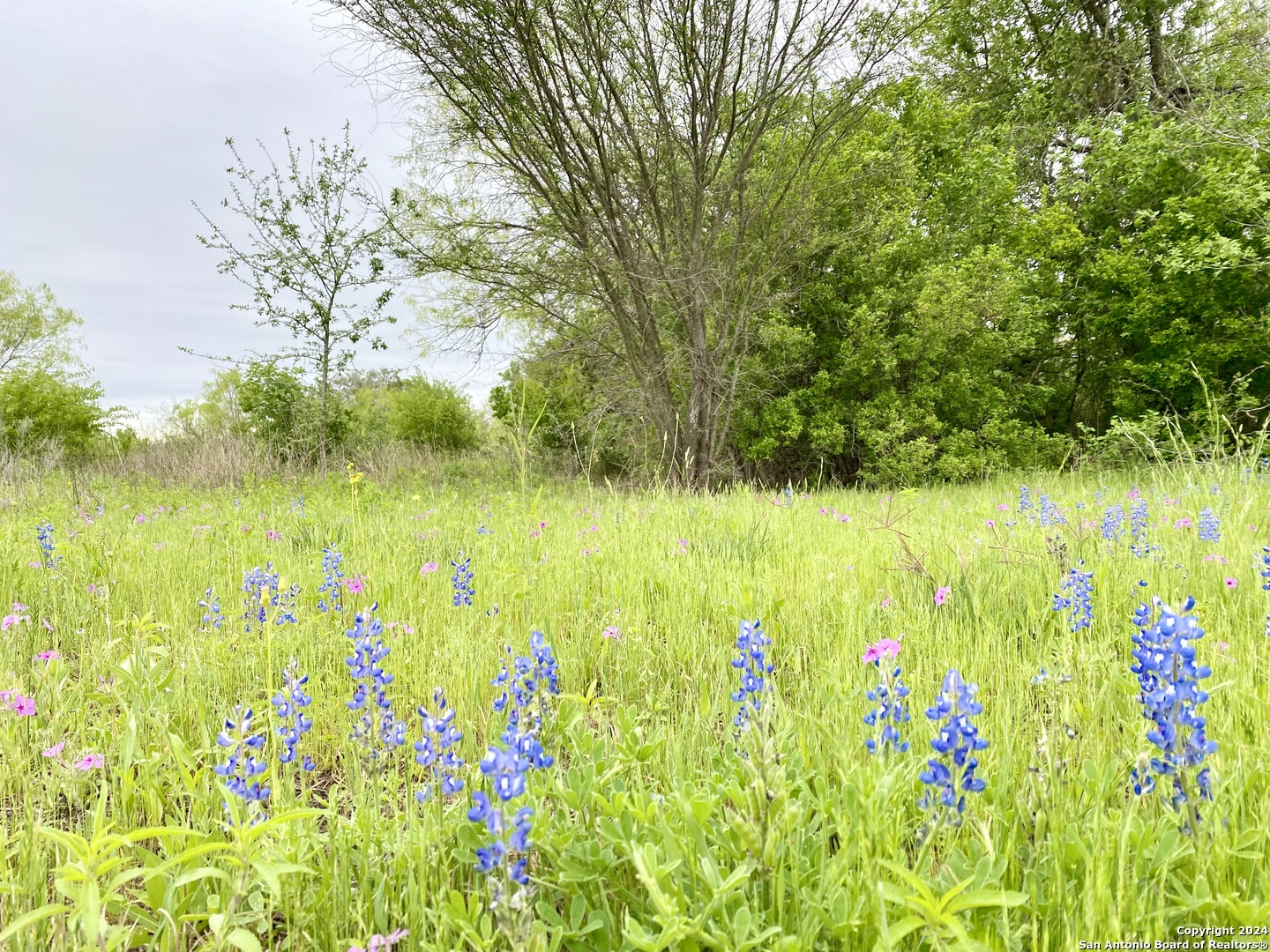 210 Shamrock Drive Floresville TX 78114