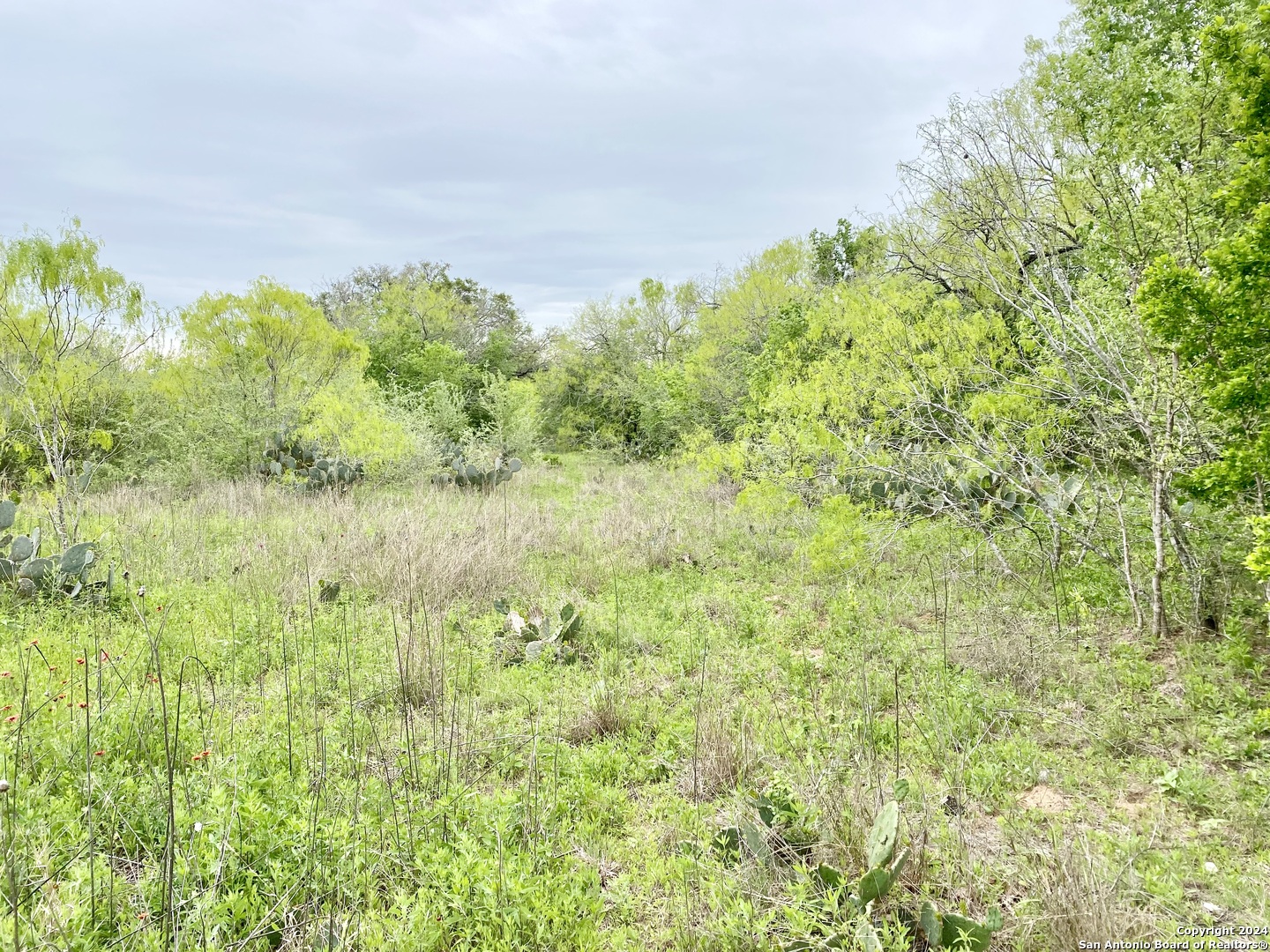 210 Shamrock Drive Floresville TX 78114