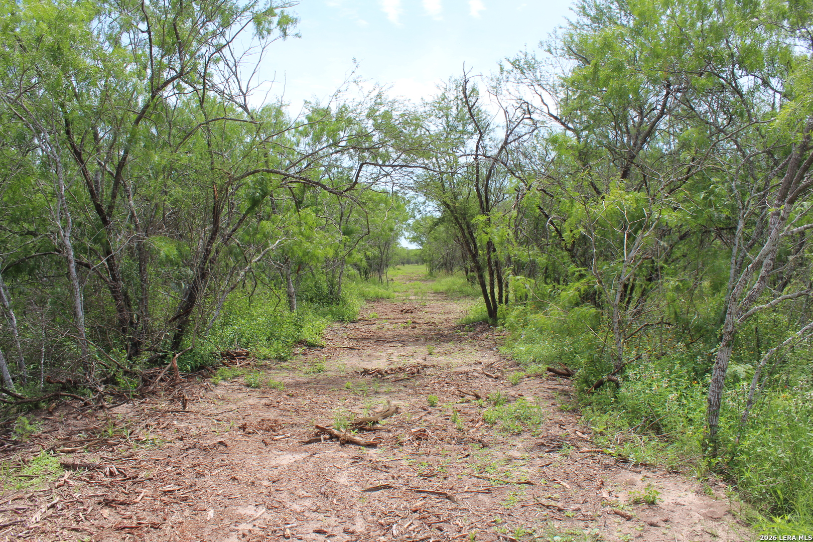 Tbd Tract 3 Pierce Road Goliad TX 77963