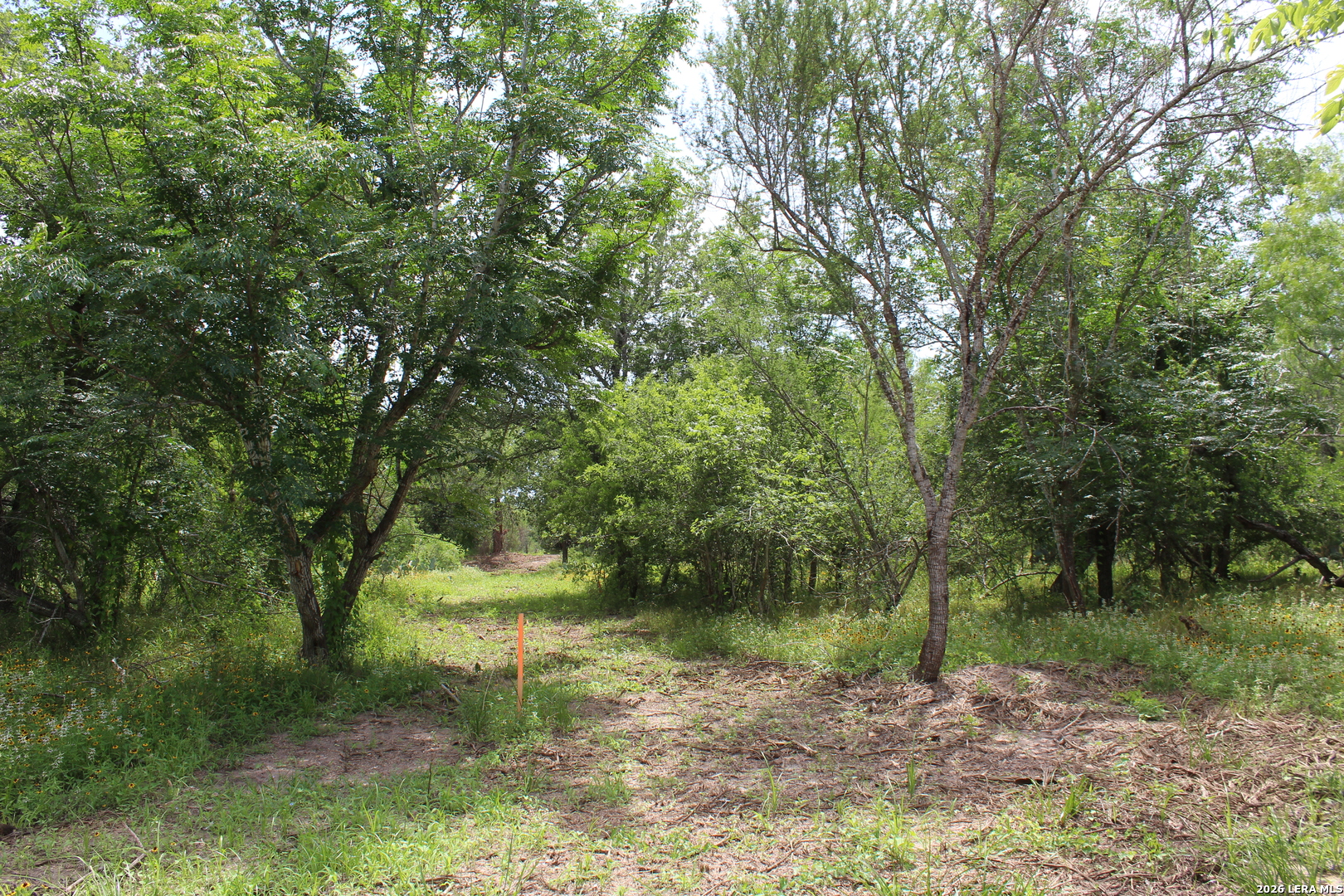 Tbd Tract 3 Pierce Road Goliad TX 77963