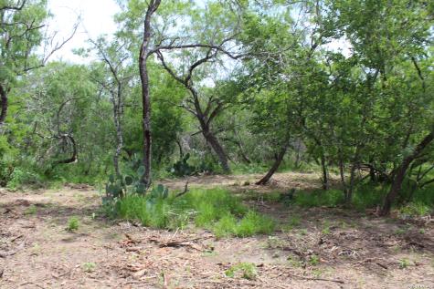 Tbd Tract 3 Pierce Road Goliad TX 77963