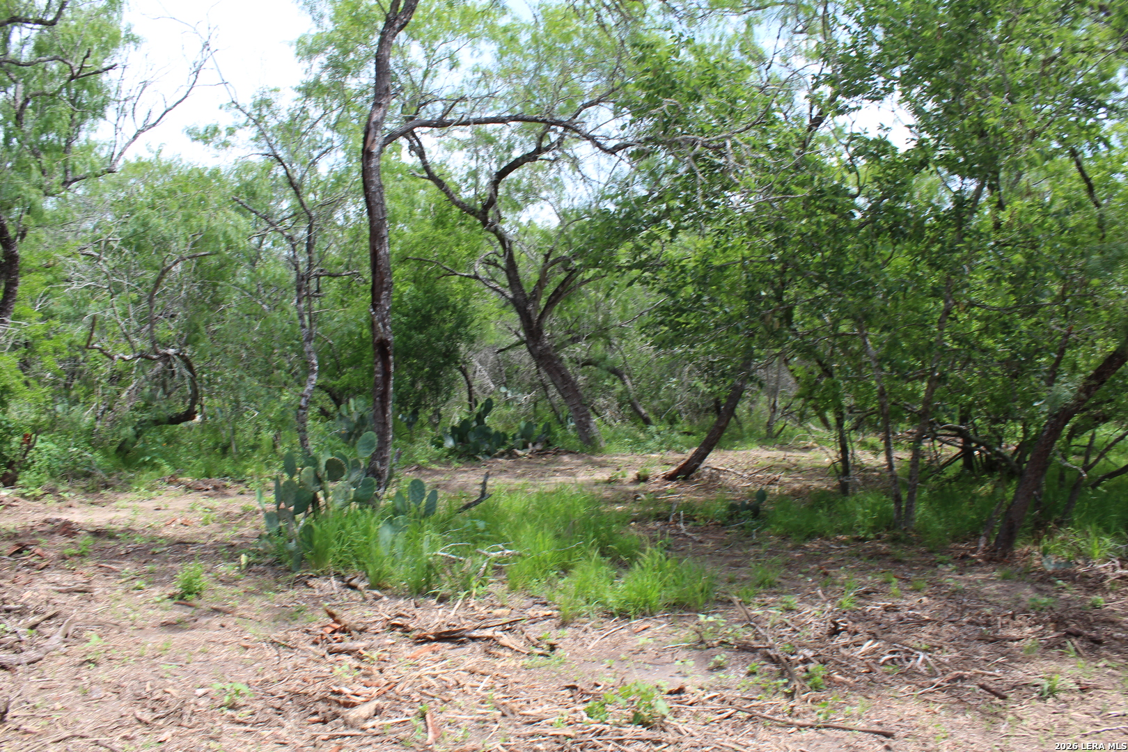 Tbd Tract 3 Pierce Road Goliad TX 77963