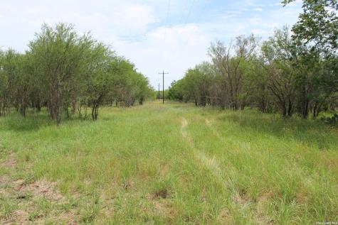 Tbd Tract 3 Pierce Road Goliad TX 77963