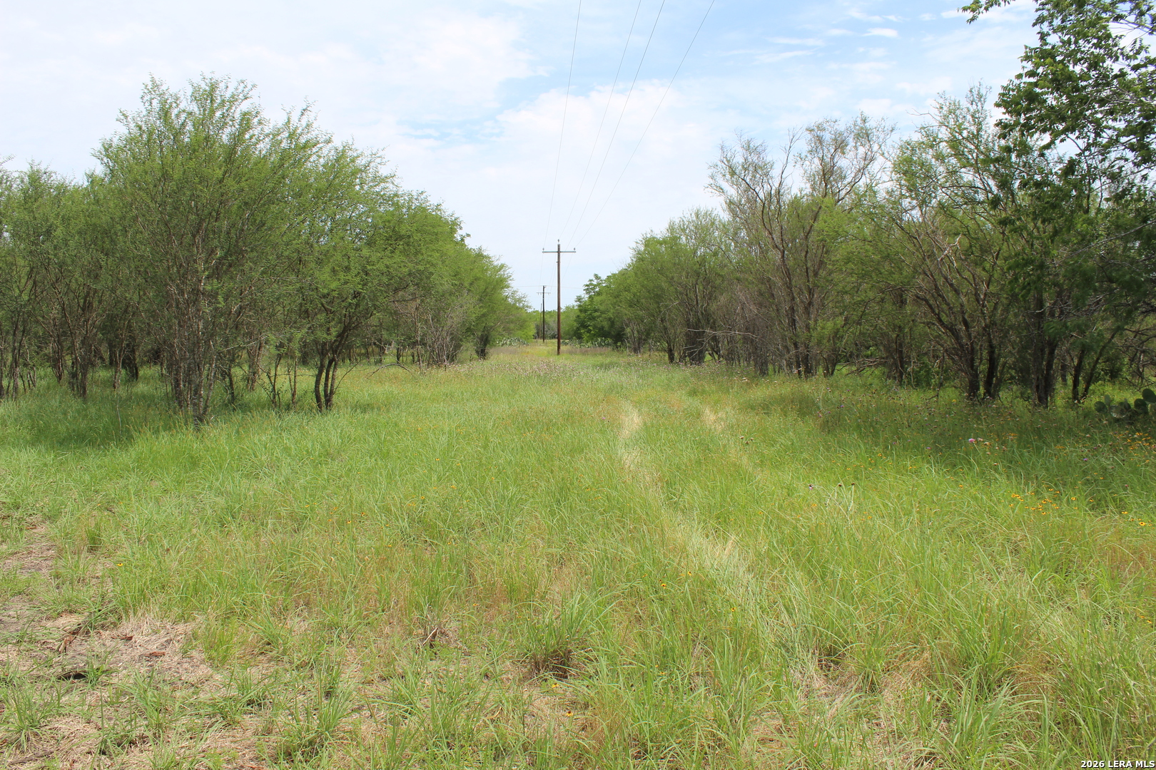 Tbd Tract 3 Pierce Road Goliad TX 77963