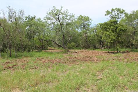 Tbd Tract 3 Pierce Road Goliad TX 77963