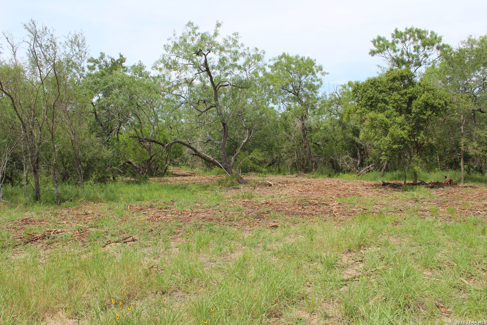 Tbd Tract 3 Pierce Road Goliad TX 77963