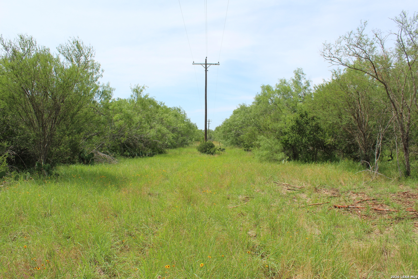 Tbd Tract 3 Pierce Road Goliad TX 77963