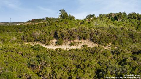 1729 Whispering Hills Drive Canyon Lake TX 78133