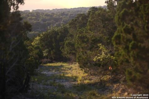 1729 Whispering Hills Drive Canyon Lake TX 78133