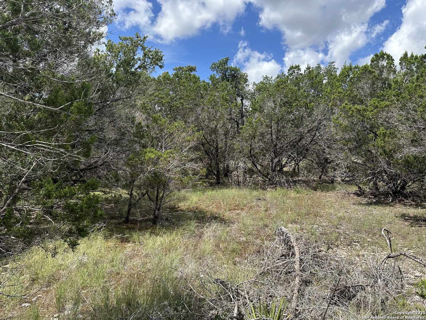 7131 Rebecca Creek Spring Branch TX 78070