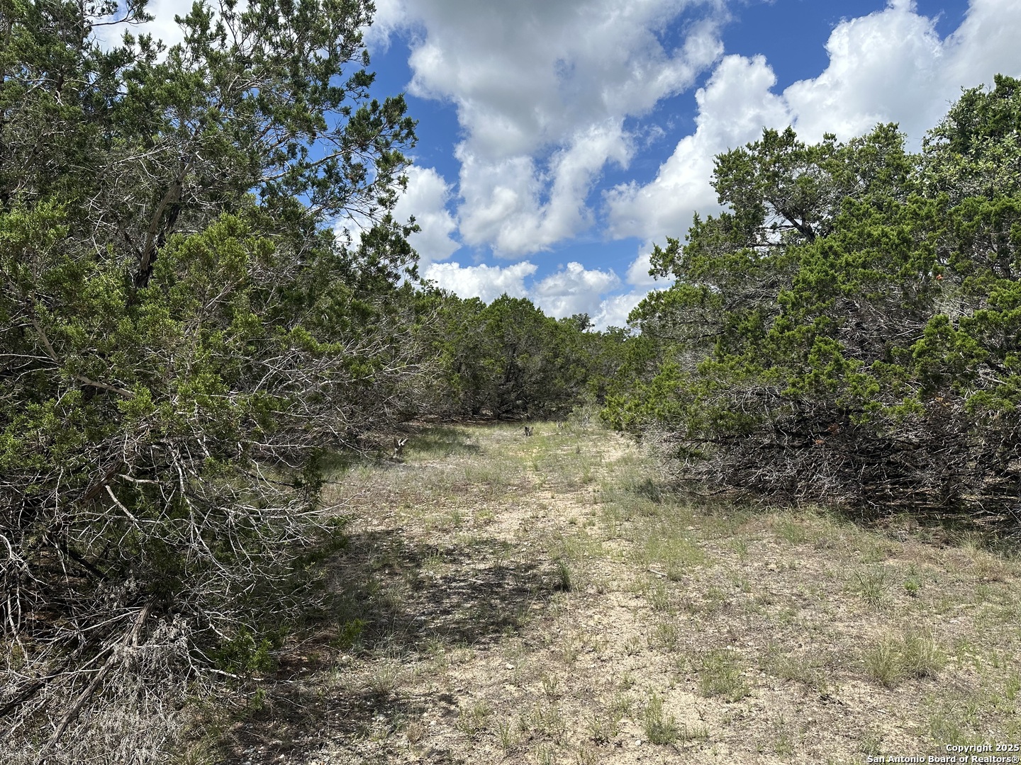 7131 Rebecca Creek Spring Branch TX 78070