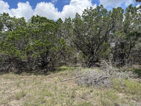 7131 Rebecca Creek Spring Branch TX 78070
