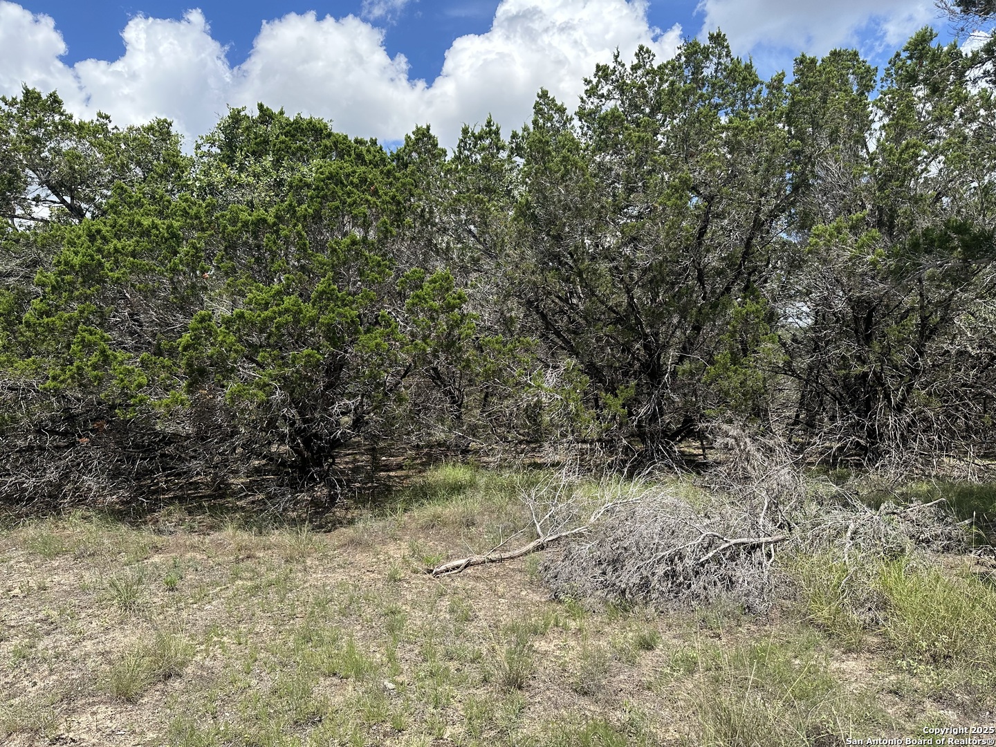 7131 Rebecca Creek Spring Branch TX 78070