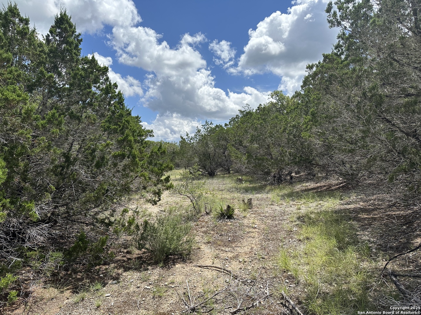 7131 Rebecca Creek Spring Branch TX 78070