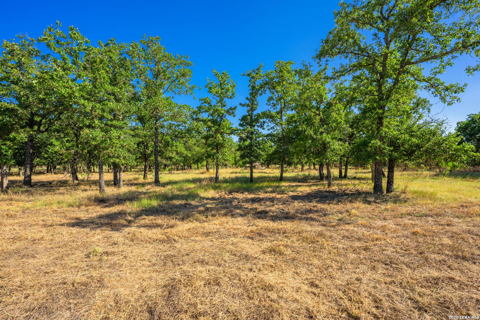 560 Mystic Oaks Trail Fredericksburg TX 78624