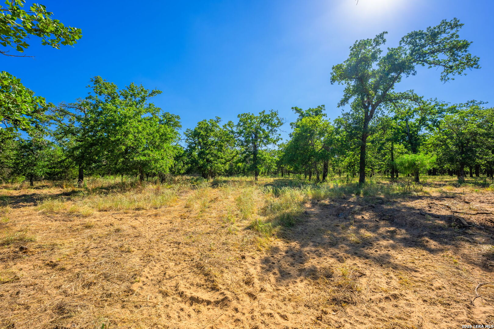 560 Mystic Oaks Trail Fredericksburg TX 78624