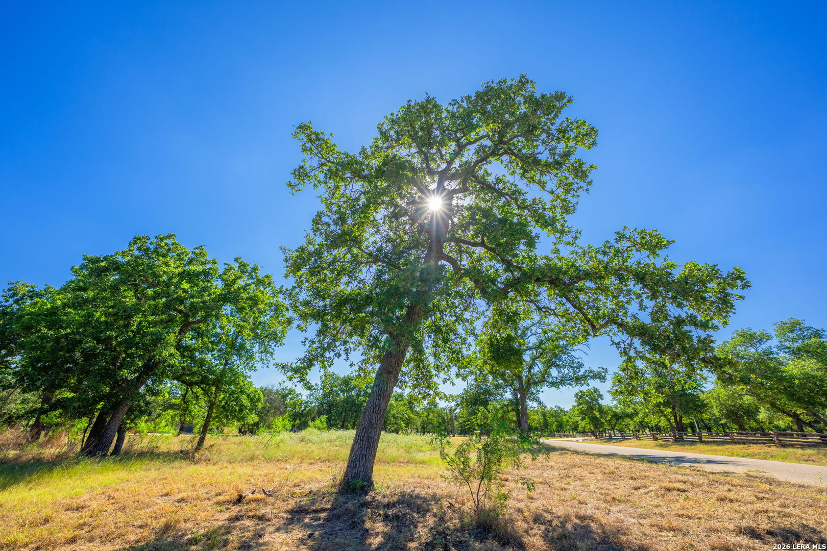 560 Mystic Oaks Trail Fredericksburg TX 78624