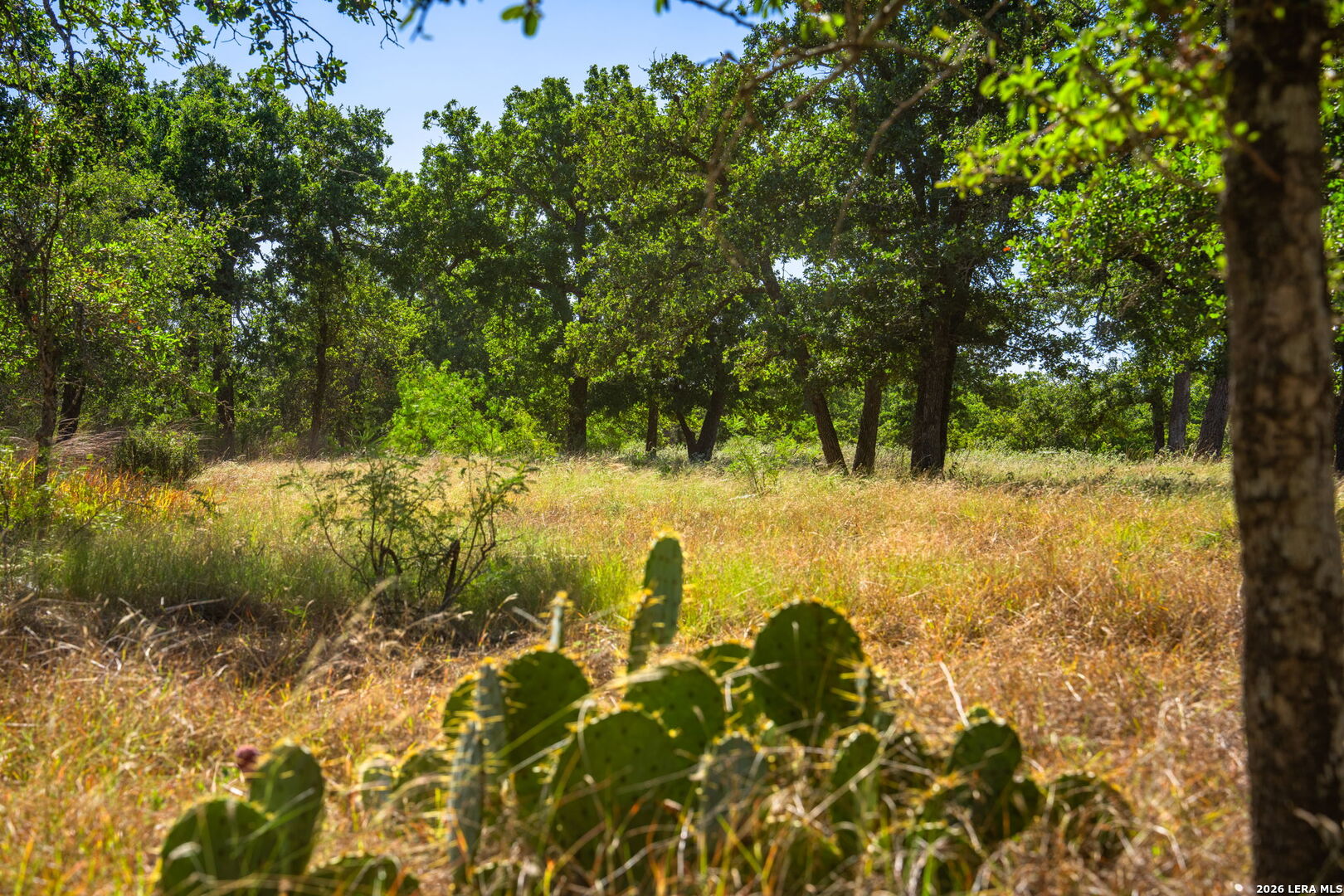 560 Mystic Oaks Trail Fredericksburg TX 78624