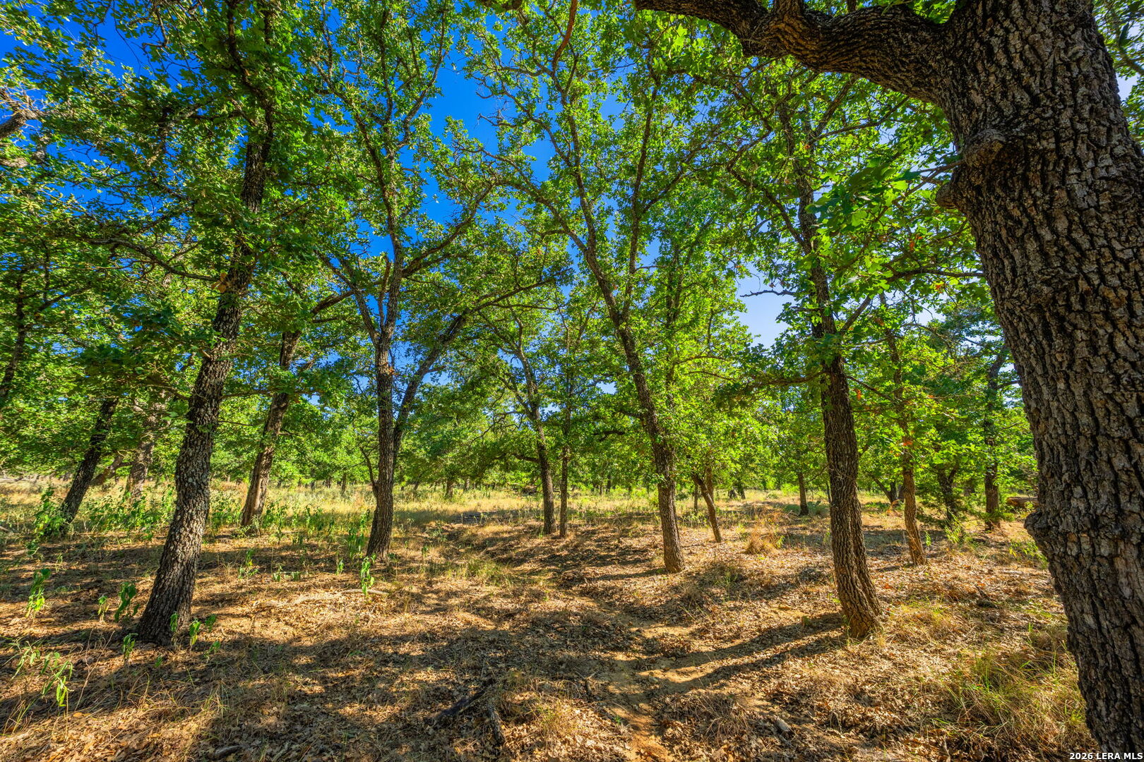560 Mystic Oaks Trail Fredericksburg TX 78624