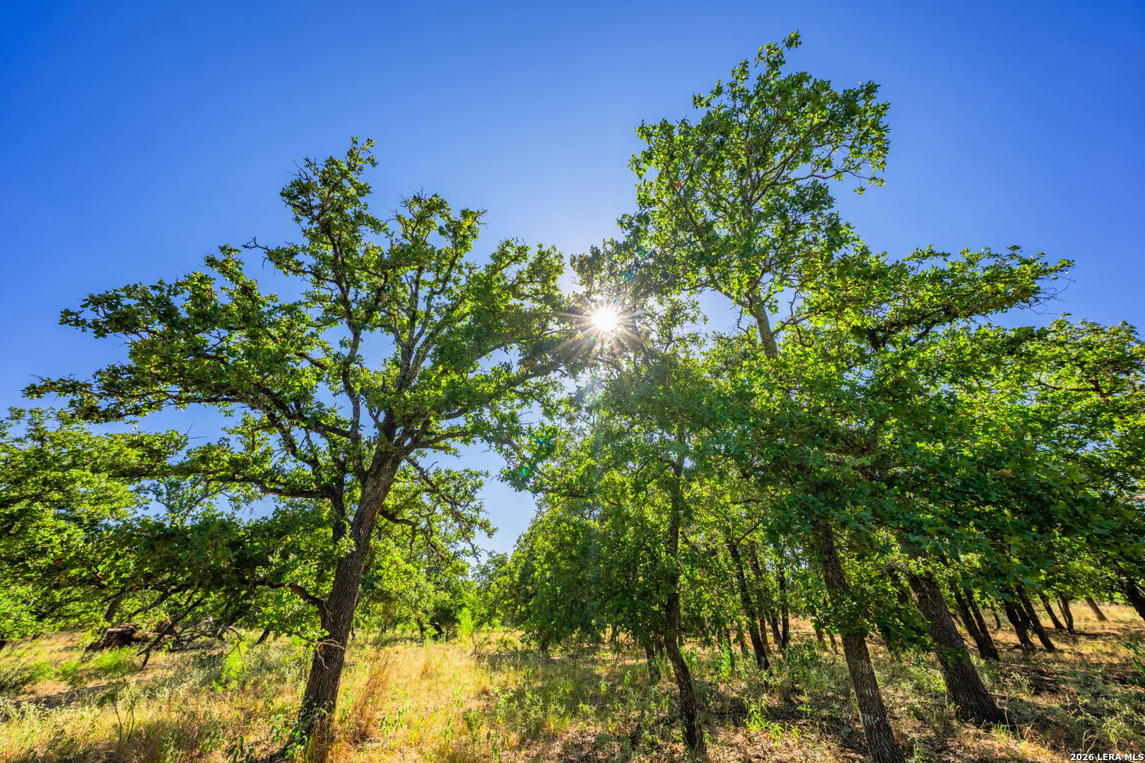 560 Mystic Oaks Trail Fredericksburg TX 78624
