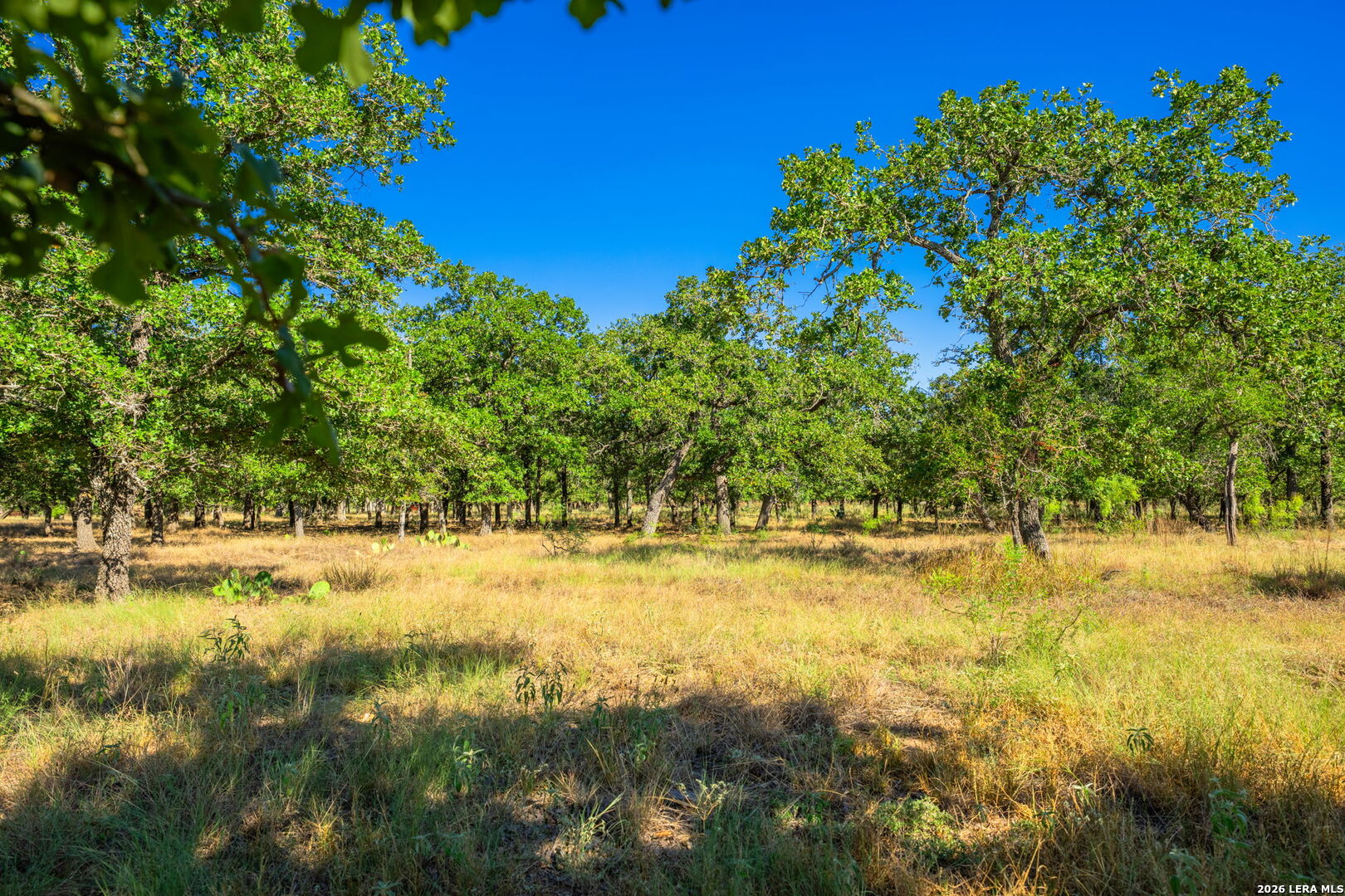 560 Mystic Oaks Trail Fredericksburg TX 78624