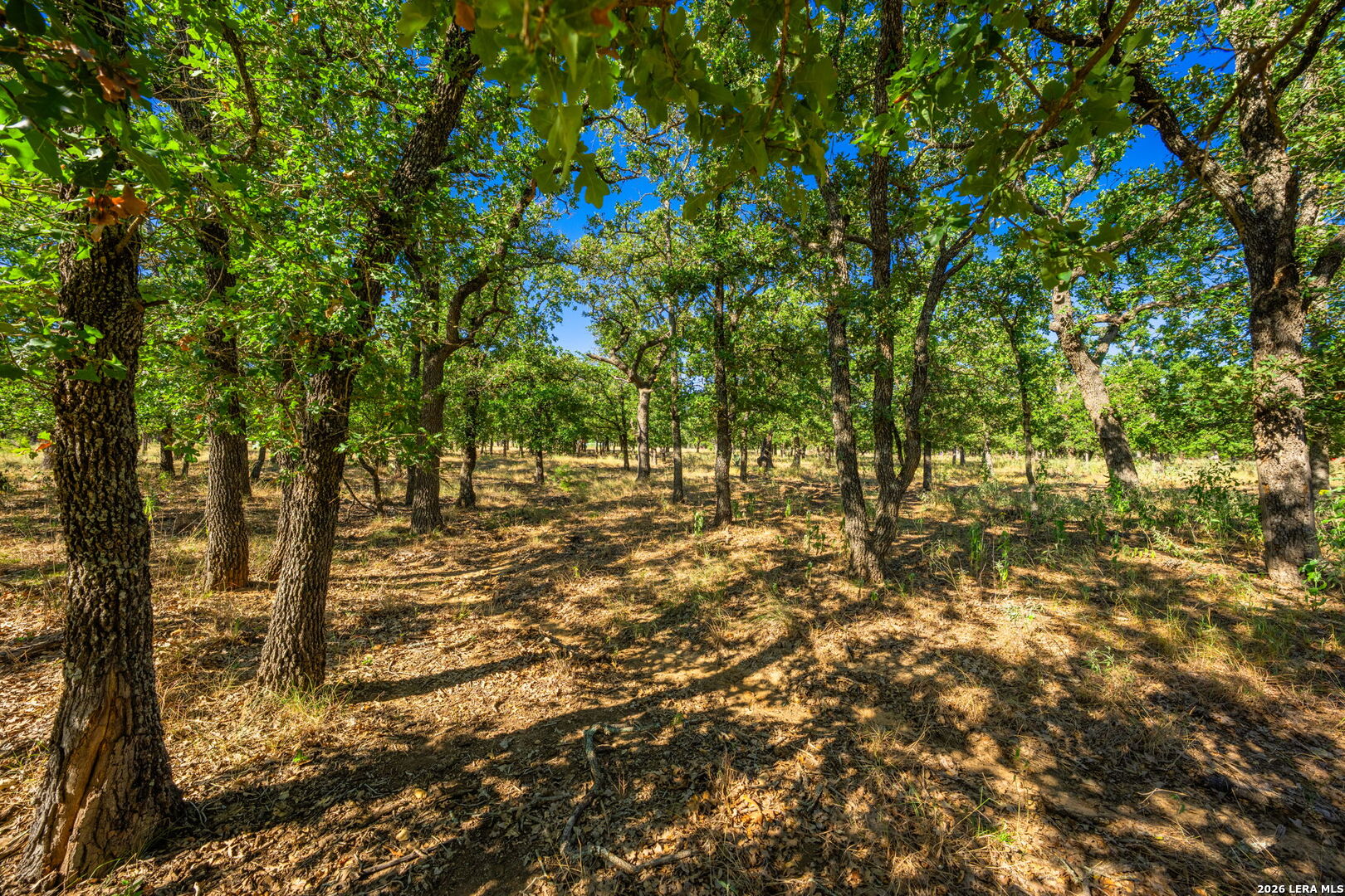 560 Mystic Oaks Trail Fredericksburg TX 78624